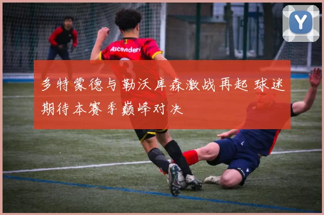 多特蒙德与勒沃库森激战再起 球迷期待本赛季巅峰对决