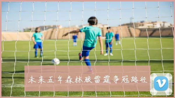 未来五年森林狼雷霆争冠路径