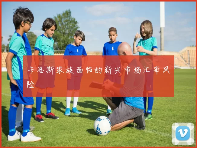 卡洛斯家族面临的新兴市场汇率风险