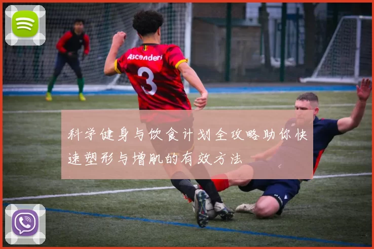 科学健身与饮食计划全攻略助你快速塑形与增肌的有效方法