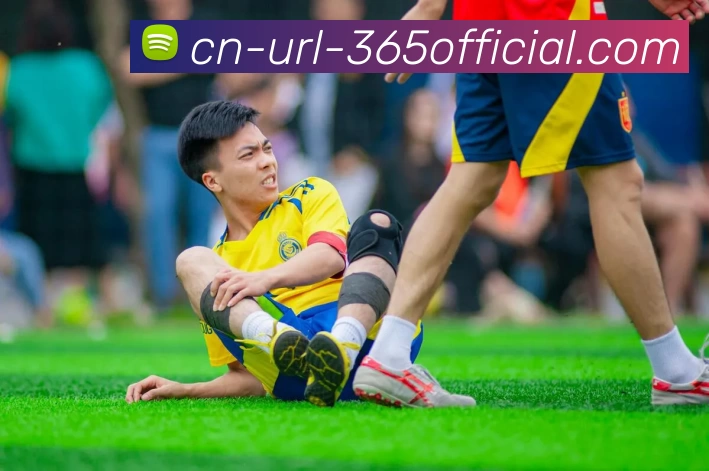 beat365官网平台生态图