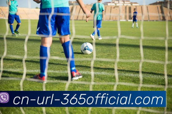 beat365官网APP 封面图